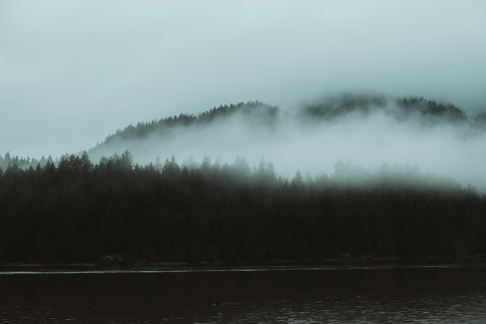 Storm Preparedness: Is Your Home’s Drainage System Ready for the Next Atmospheric River?